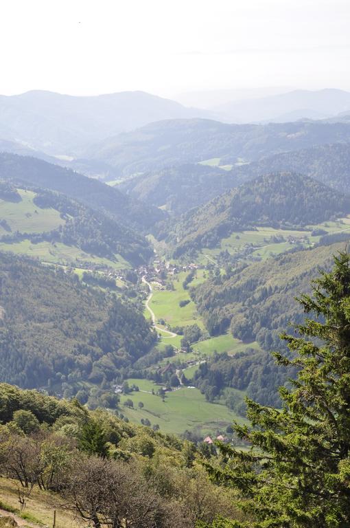 Pension Gasthaus Zur Schmiede Dachsberg im Schwarzwald Dış mekan fotoğraf