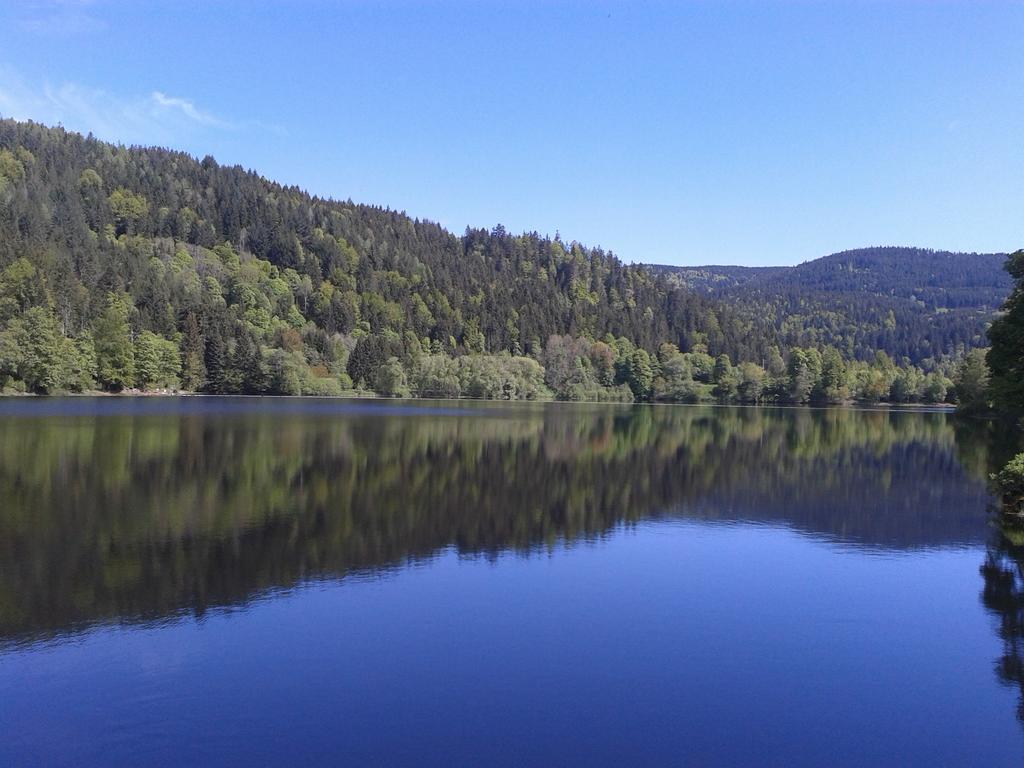 Pension Gasthaus Zur Schmiede Dachsberg im Schwarzwald Dış mekan fotoğraf