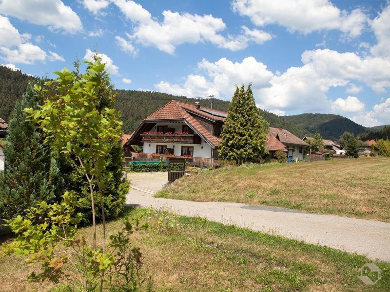 Pension Gasthaus Zur Schmiede Dachsberg im Schwarzwald Dış mekan fotoğraf