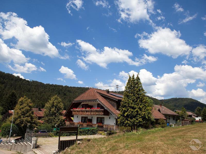 Pension Gasthaus Zur Schmiede Dachsberg im Schwarzwald Dış mekan fotoğraf